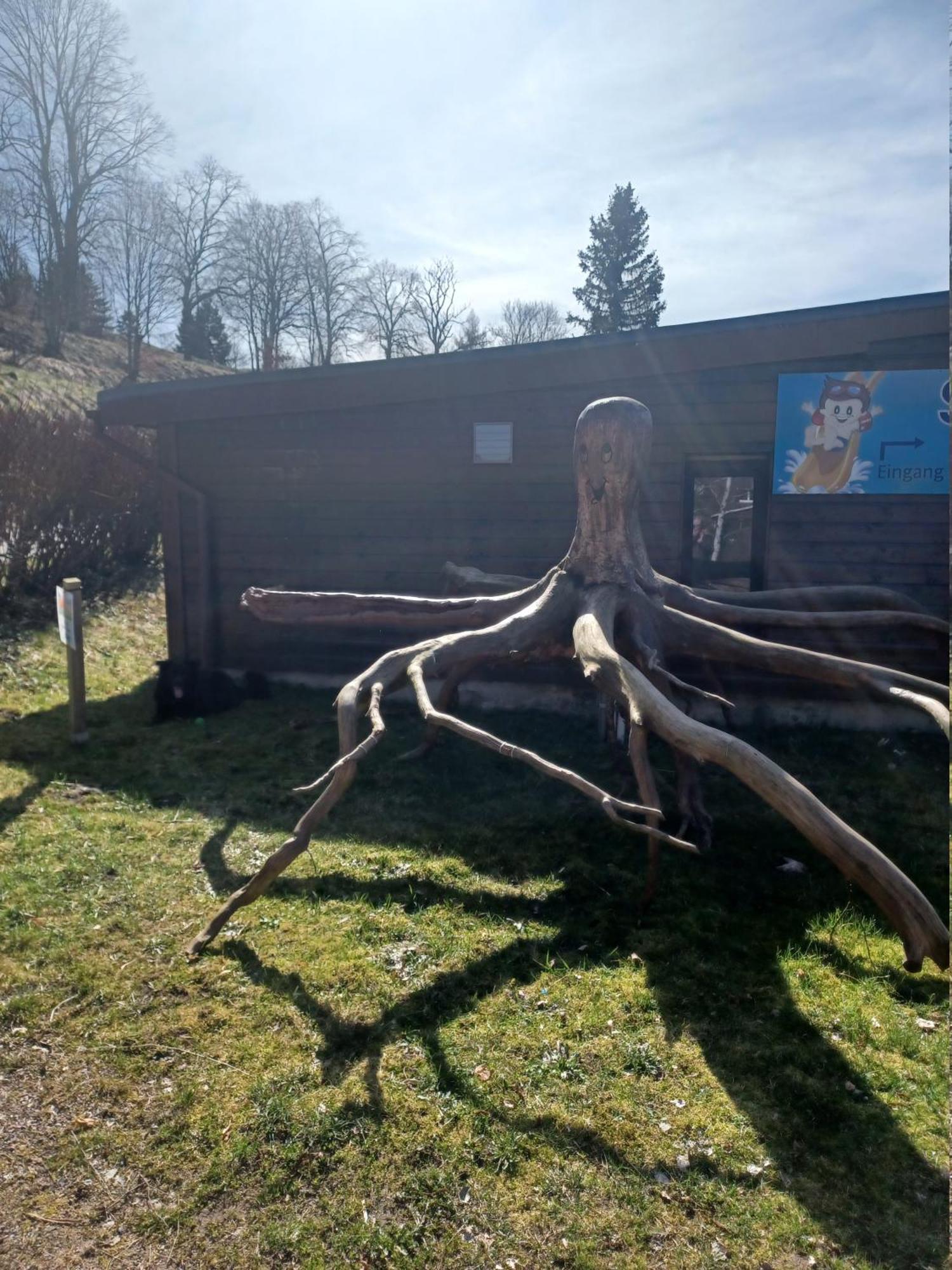 Appartement Am Schloss Im Erzgebirge Lauenstein